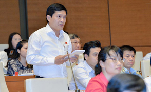 TRỰC TIẾP: Đoàn ĐBQH TP.HCM trả lời việc ông Phạm Phú Quốc có 2 quốc tịch