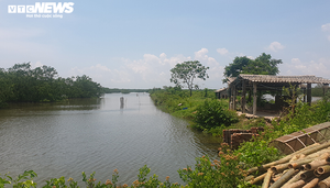 Hải Phòng thu hồi gần 400ha đất bãi bồi ven biển bị 'bỏ quên' cả thập niên