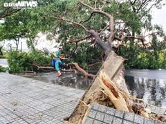 Vì sao bão số 5 đổ bộ miền Trung nhưng lại gây mưa lớn khủng khiếp tại Hà Nội?