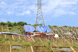 Bác tin Hòa Bình dừng thi công khẩu hiệu 11 chữ hết gần 11 tỷ đồng