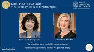 Hai nhà khoa học cải tiến lý thuyết đấu giá nhận giải Nobel Kinh tế 2020