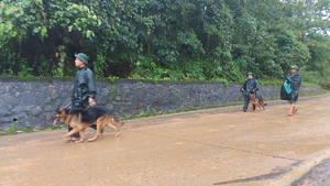 Quặn thắt dòng tin cuối của chiến sỹ Đoàn 337 nhắn cho vợ trước lúc hy sinh