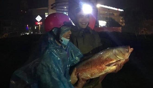 Đường phố biến thành sông, người Hà Tĩnh ra đường bắt cá trong đêm