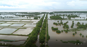 Hải Phòng thu hồi gần 400ha đất bãi bồi ven biển bị 'bỏ quên' cả thập niên