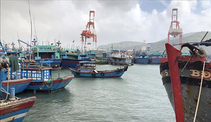 Bão số 9 sắp đổ bộ đất liền, Bình Định cấm tàu thuyền xuất bến