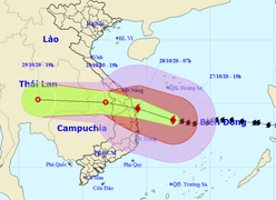 Thủ tướng Nguyễn Xuân Phúc gọi điện cho Phó Thủ tướng Trịnh Đình Dũng giữa đêm