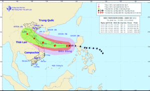 Tránh bão Vamco, Quảng Nam sơ tán gần 72.000 dân