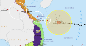 Tránh bão Vamco, Quảng Nam sơ tán gần 72.000 dân