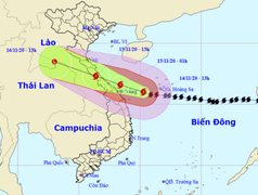Tránh bão Vamco, Quảng Nam sơ tán gần 72.000 dân
