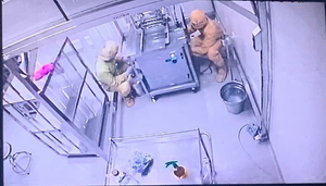 Ai được tiêm vaccine COVID-19 đầu tiên nhập khẩu về Việt Nam?