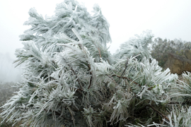 Đường đèo Ô Quy Hồ đóng băng, xe cộ không thể di chuyển