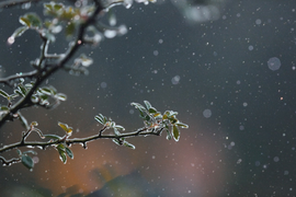 Đường đèo Ô Quy Hồ đóng băng, xe cộ không thể di chuyển