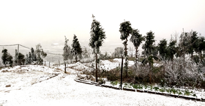 Đường đèo Ô Quy Hồ đóng băng, xe cộ không thể di chuyển