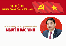 Infographic: Sự nghiệp Phó Chánh Văn phòng Trung ương Đảng Nguyễn Đắc Vinh
