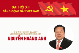 Infographic: Sự nghiệp Chủ tịch Ủy ban Quản lý vốn Nhà nước Nguyễn Hoàng Anh