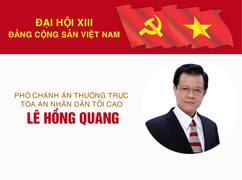 Infographic: Sự nghiệp Phó Chánh án Thường trực TAND tối cao Lê Hồng Quang