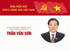 Infographic: Sự nghiệp Phó Chủ nhiệm Văn phòng Chính phủ Trần Văn Sơn