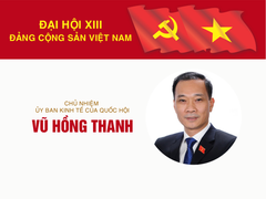 Infographic: Sự nghiệp Chủ nhiệm Ủy ban Kinh tế của Quốc hội Vũ Hồng Thanh