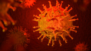 Video: Thông tin mới nhất những ca mắc COVID-19 ở Hải Dương và Quảng Ninh