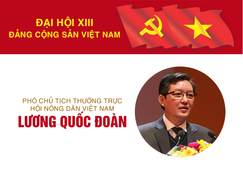 Diễn văn bế mạc Đại hội đại biểu toàn quốc lần thứ XIII của Đảng