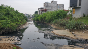 Dòng sông 'chết' ở Bắc Ninh hồi sinh sau 20 năm chìm trong khói bụi, nước thải