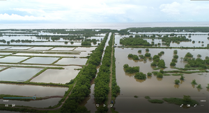 Hải Phòng thu hồi gần 400ha đất bãi bồi ven biển bị 'bỏ quên' cả thập niên
