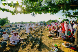 300 con cừu đeo nơ trình diễn 'catwalk' trên phố tại Ninh Thuận