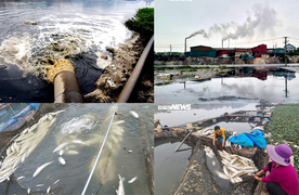 Dòng sông 'chết' ở Bắc Ninh hồi sinh sau 20 năm chìm trong khói bụi, nước thải