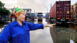 Dòng sông 'chết' ở Bắc Ninh hồi sinh sau 20 năm chìm trong khói bụi, nước thải