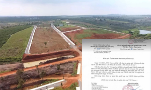 Đồi 36ha bị xẻ thành 1.000 đất nền: Đình chỉ thêm một cán bộ TP Bảo Lộc