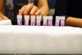 Phó Thủ tướng: Bằng mọi giá TP.HCM phải dập tắt ổ dịch nhóm tôn giáo Phục Hưng