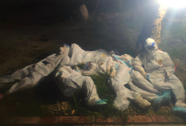 Thấy mẹ trên tivi con khóc đòi bế, bác sĩ tuyến đầu nức nở không dám hứa ngày về