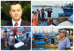 Nỗi trăn trở của vị Bí thư Tỉnh ủy với nghề câu cá ngừ đại dương