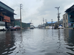 Dòng sông 'chết' ở Bắc Ninh hồi sinh sau 20 năm chìm trong khói bụi, nước thải