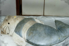 Vỏ bọc hoàn hảo của kẻ sát nhân máu lạnh BTK