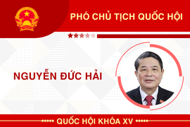 Infographic: Sự nghiệp Phó Chủ tịch Quốc hội Nguyễn Đức Hải