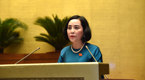 6 người trúng cử đại biểu Quốc hội có đơn phản ánh