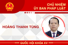 Infographic: Sự nghiệp Chủ nhiệm Ủy ban Pháp luật của Quốc hội Hoàng Thanh Tùng