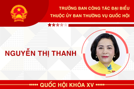 Infographic: Sự nghiệp Trưởng ban Công tác đại biểu Nguyễn Thị Thanh
