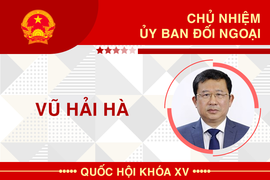 Infographic: Sự nghiệp Chủ nhiệm Ủy ban Đối ngoại Vũ Hải Hà