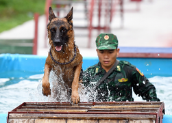 Army Games 2021: Đội tuyển bắn tỉa Việt Nam đứng nhất cả 5 bài thi 