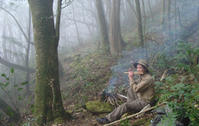 Bí ẩn từ những rừng chè shan tuyết ngàn năm tuổi trên đỉnh Fansipan