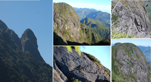 Bí ẩn từ những rừng chè shan tuyết ngàn năm tuổi trên đỉnh Fansipan