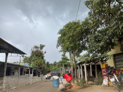 Ảnh: Hiện trường 'bắt vạ' 50 triệu/cây gỗ tạp, nhiều công an bị đánh nhập viện