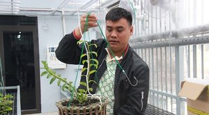 Quản lý thị trường Thái Nguyên lên tiếng về triệu tấn than khai thác trái phép