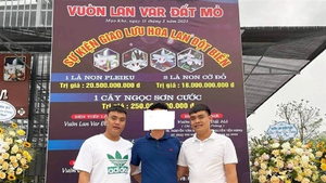 Quản lý thị trường Thái Nguyên lên tiếng về triệu tấn than khai thác trái phép