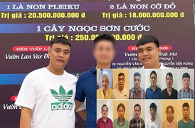 Ngậm đắng nuốt cay vì những thương vụ lừa đảo lan đột biến 