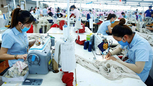 Chủ tịch Xây dựng Hoà Bình: Cả doanh nghiệp và người dân đã kiệt quệ