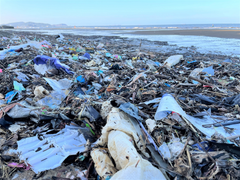Ảnh: Rác thải nhựa tràn ngập bãi biển ở thị xã Cửa Lò 