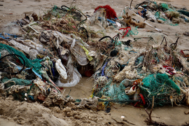 Nhựa dùng một lần - mối hiểm họa của môi trường biển